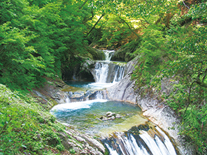 photo of Nishizawa Gorge (Seven-fold ravine enveloped in tender green)