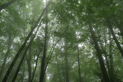 photo 2 of Chichibu-Tama-Kai National Park