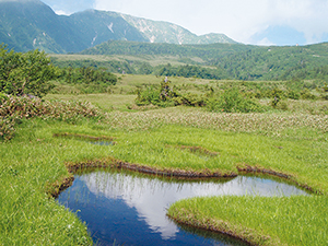 photo of Midagahara Plain (lava plateau)