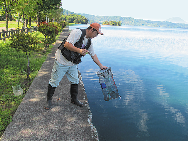 photo of Efforts to Eradicate the Signal Crayfish