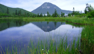 photo of Shiretoko National Park