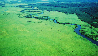 photo of Kushiroshitsugen National Park