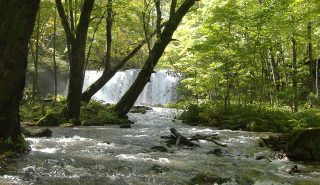 photo of Towada-Hachimantai National Park