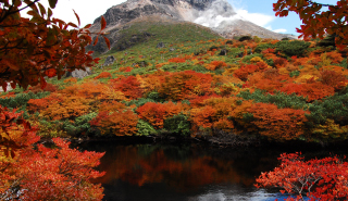 photo of Nikko National Park