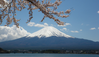 富士箱根伊豆国立公園の写真