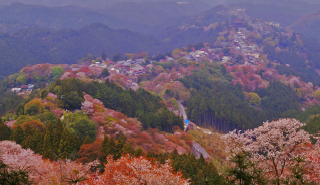 吉野熊野国立公園の写真