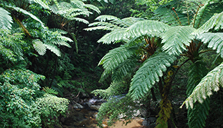 photo of Amamigunto National Park