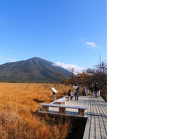 戦場ヶ原周回線道路の写真