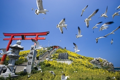 三陸復興国立公園の写真その3