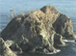 三陸海岸宮古のウミネコ繁殖地の写真