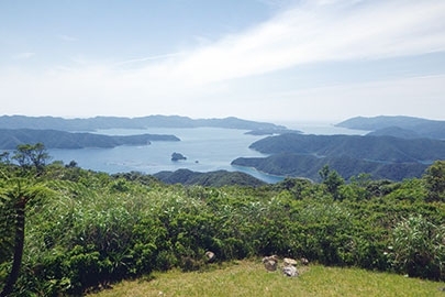 奄美群島国立公園の写真その3