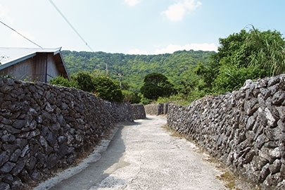 奄美群島国立公園の写真その6