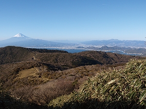 伊豆山稜線歩道からの富士山の写真