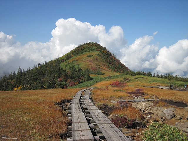 苗場山の写真