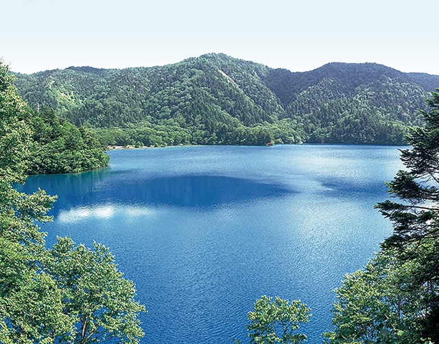 大沼池の写真