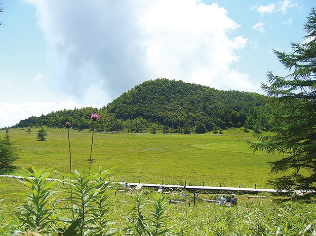 池の平湿原の写真