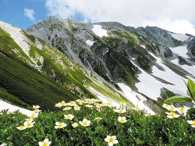 立山の写真