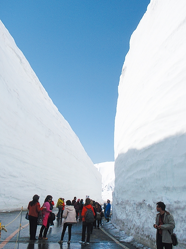 立山黒部アルペンルートの写真