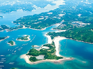 リアス海岸の写真