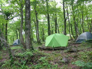 下山キャンプ場の写真