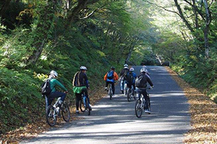 Cycling on the road surrounded by forest at both sides