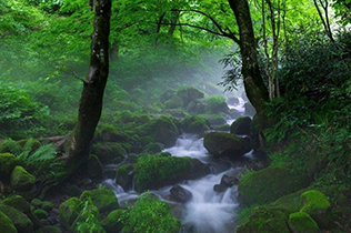 Kitanizawa mountain stream