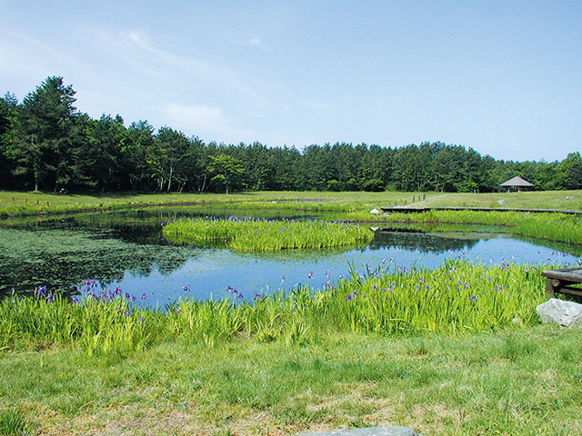 photo of Three Ponds around Mt. Sanbe