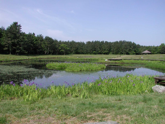 photo of Himenoga Pond