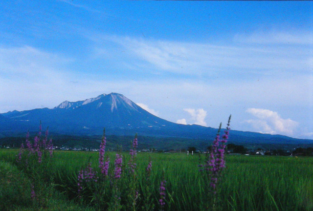 タイトル　蚊屋付近より大山夏山