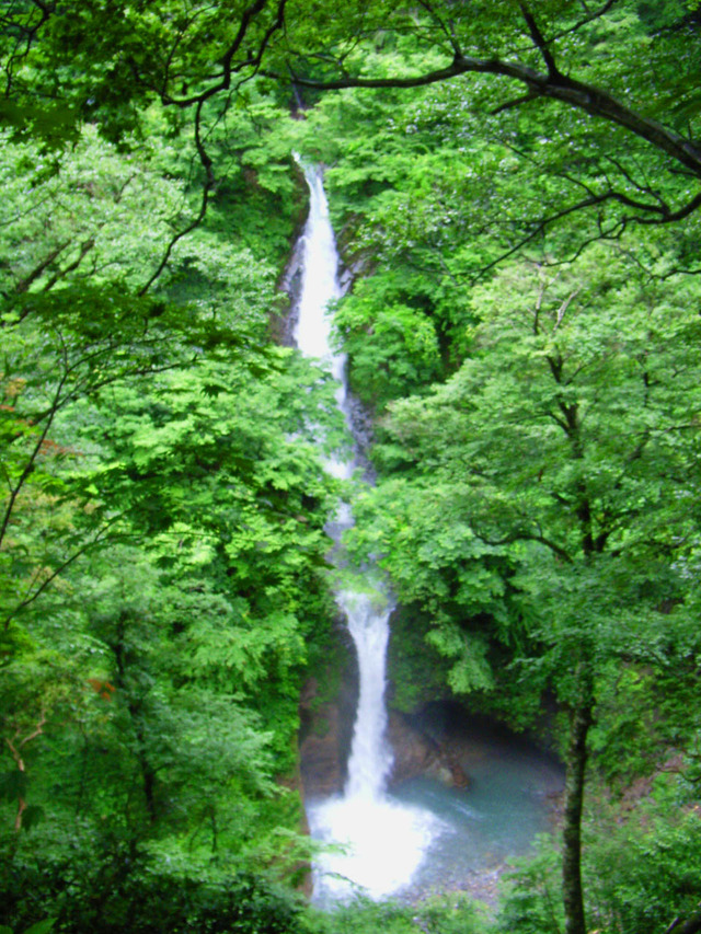 タイトル　大山滝