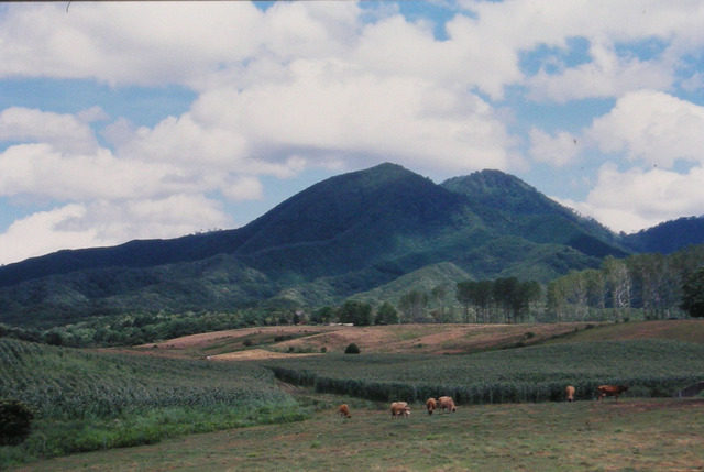 タイトル　蒜山高原-2