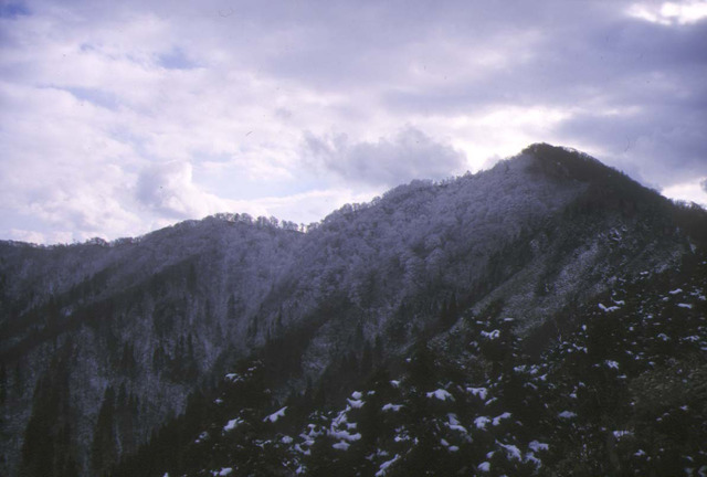 タイトル　白馬山　冬