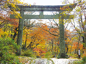 大山道（横手道）の鳥居の写真