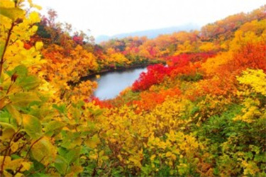 大学沼と紅葉の画像