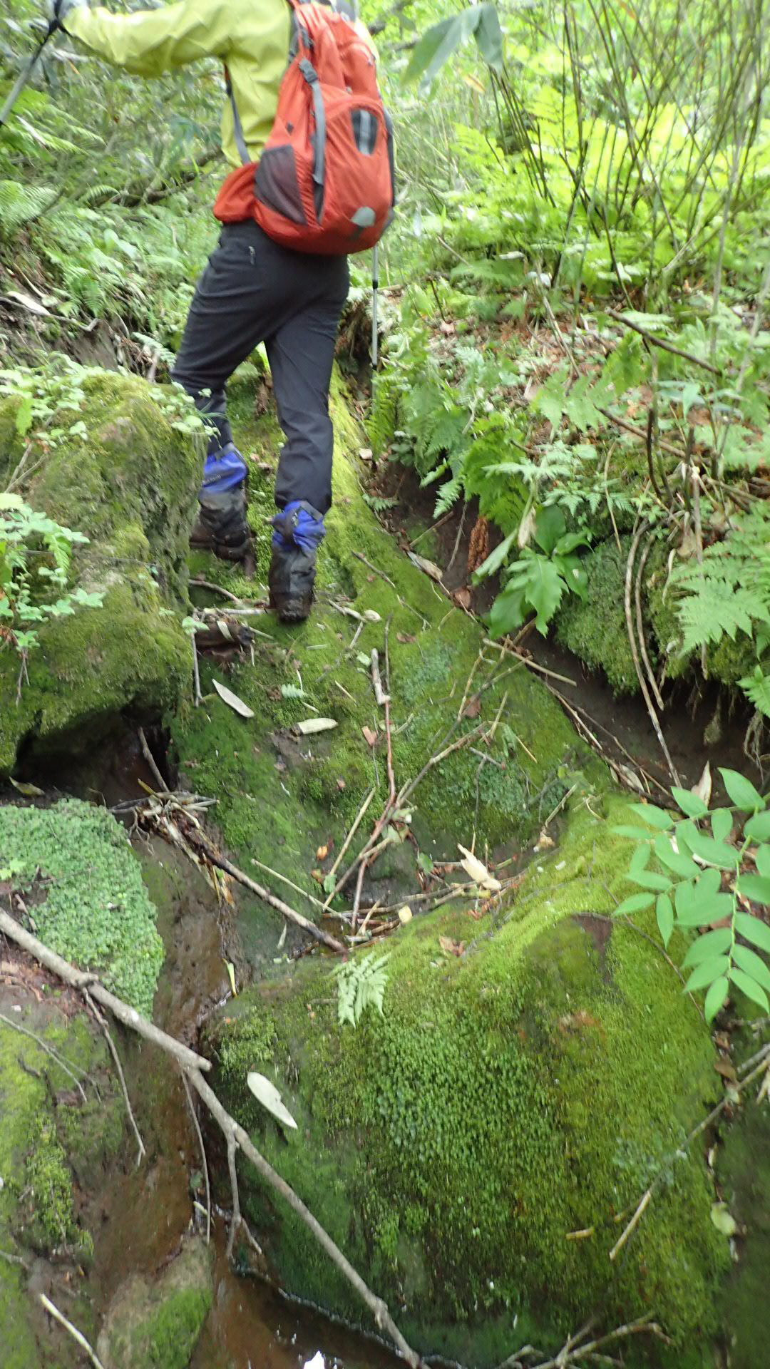 大きな岩の段差の画像