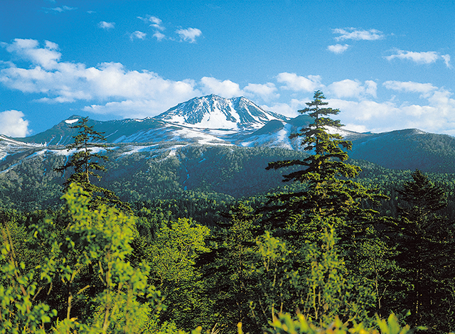 photo of Mt. Tomuraushi