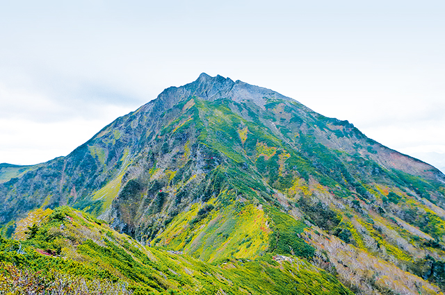 ニペソツ山の写真