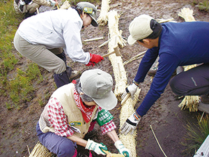 photo of Park Volunteer Activity