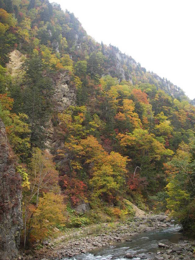 タイトル　天人峡柱状節理の紅葉