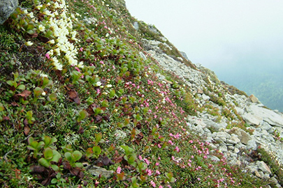 photo 10 of Daisetsuzan National Park