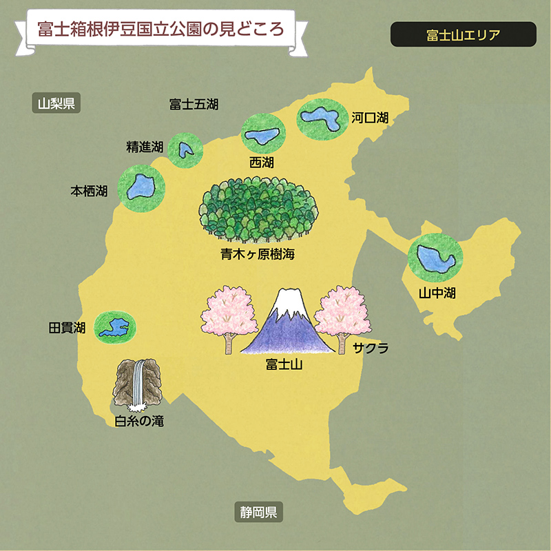 環境省 富士箱根伊豆国立公園 見どころガイド