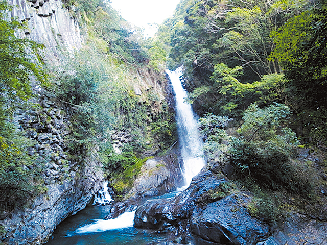 河津七滝の写真