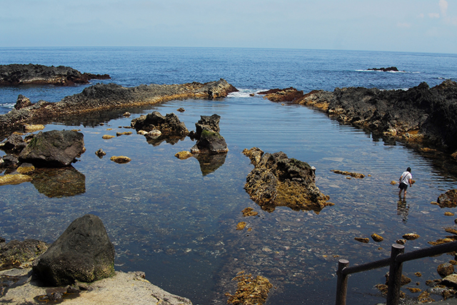 photo of Miyake-jima Chotaroike Pond