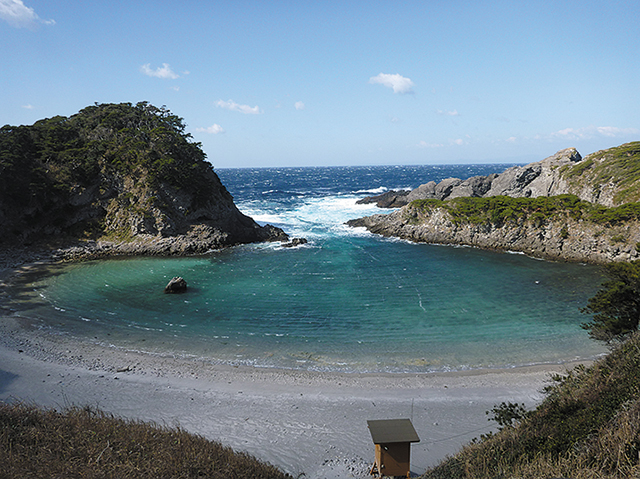 式根島泊海岸の写真