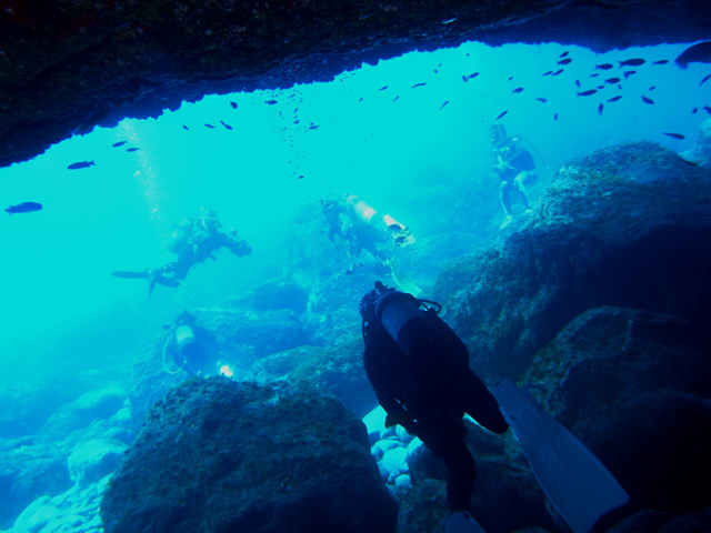 photo of Scuba Diving