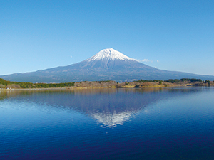 富士山の写真