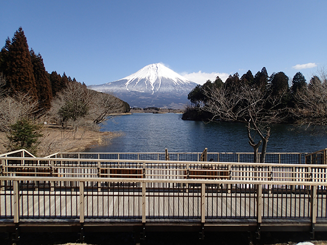 photo of Lake Tanuki