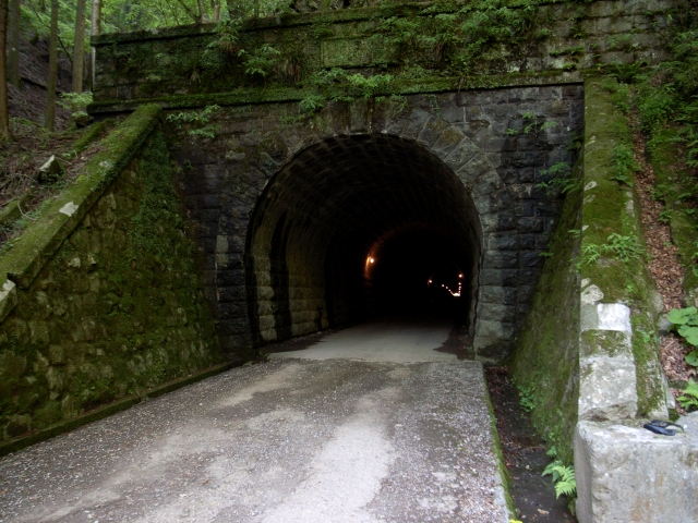 タイトル　天城山隧道