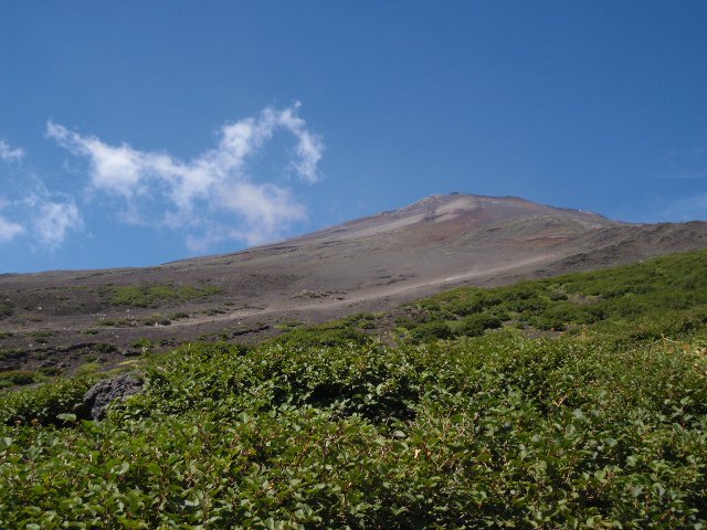 タイトル　須走口登山道より