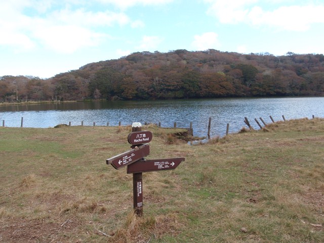 タイトル　八丁池湖畔